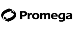 Group 291