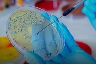 Exploring the unseen world of microorganisms.