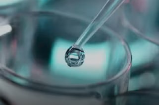 Unveiling the Beauty of Chemistry